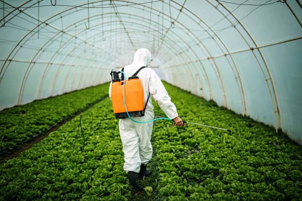 Best Local Pest Control Services  in Valley Green, PA