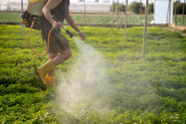 Best Insect Control  in Valley Green, PA